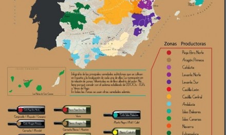 Infografía_Variedades Autóctonas de Vinos de España_Marzo_2015