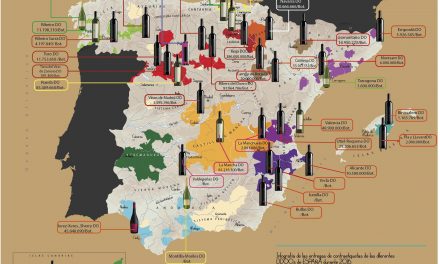 Botellas de vino en 2016 hechas por las DDOOs en España